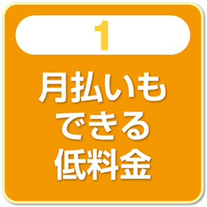 月払いもできる低料金